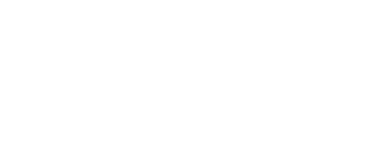 Dellner Investments LLC